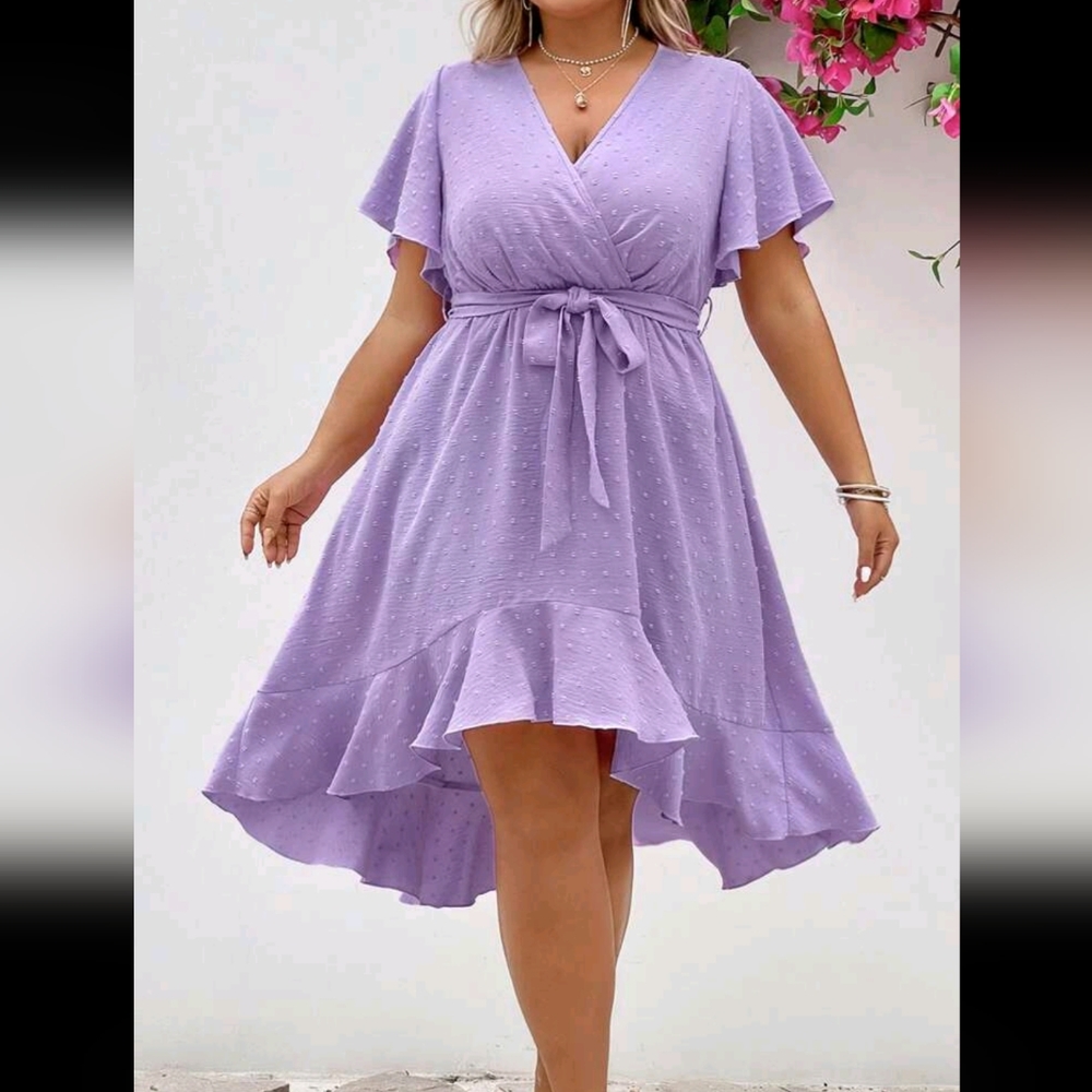 Women's Lilac Plus Dress
